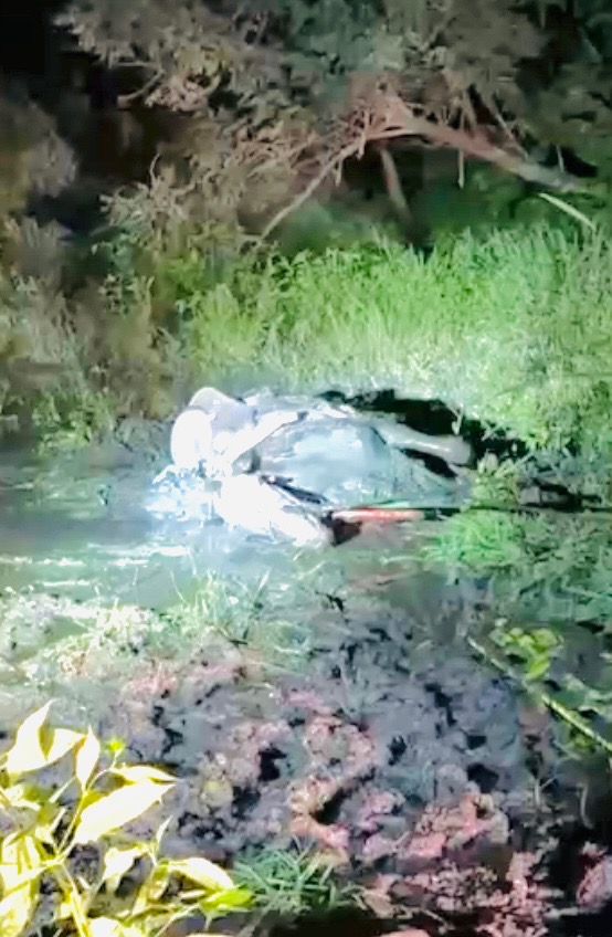 Spooked horse rescued after getting stuck in neck deep mud