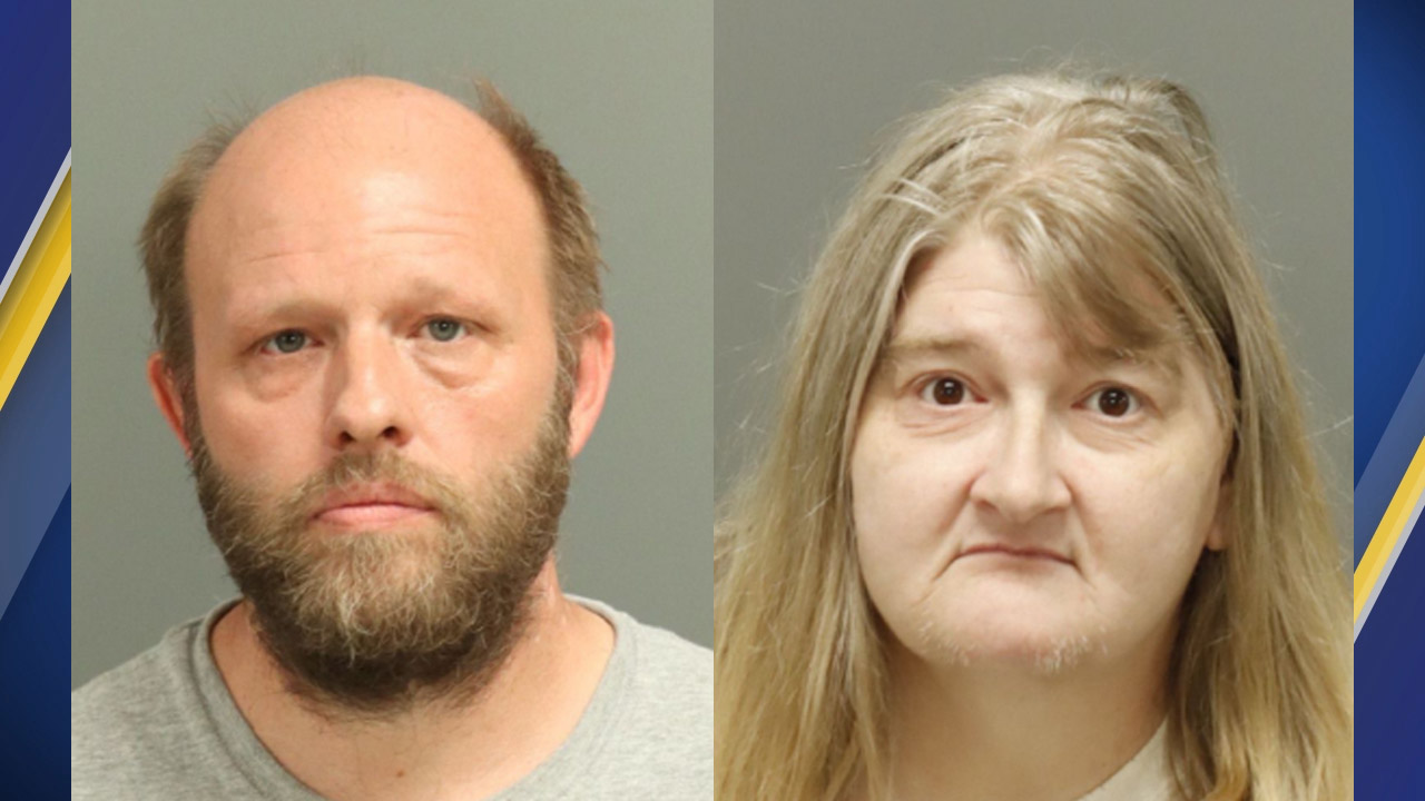screenshot ABC 11 News Pair charged after feline house of horrors found in North Carolina